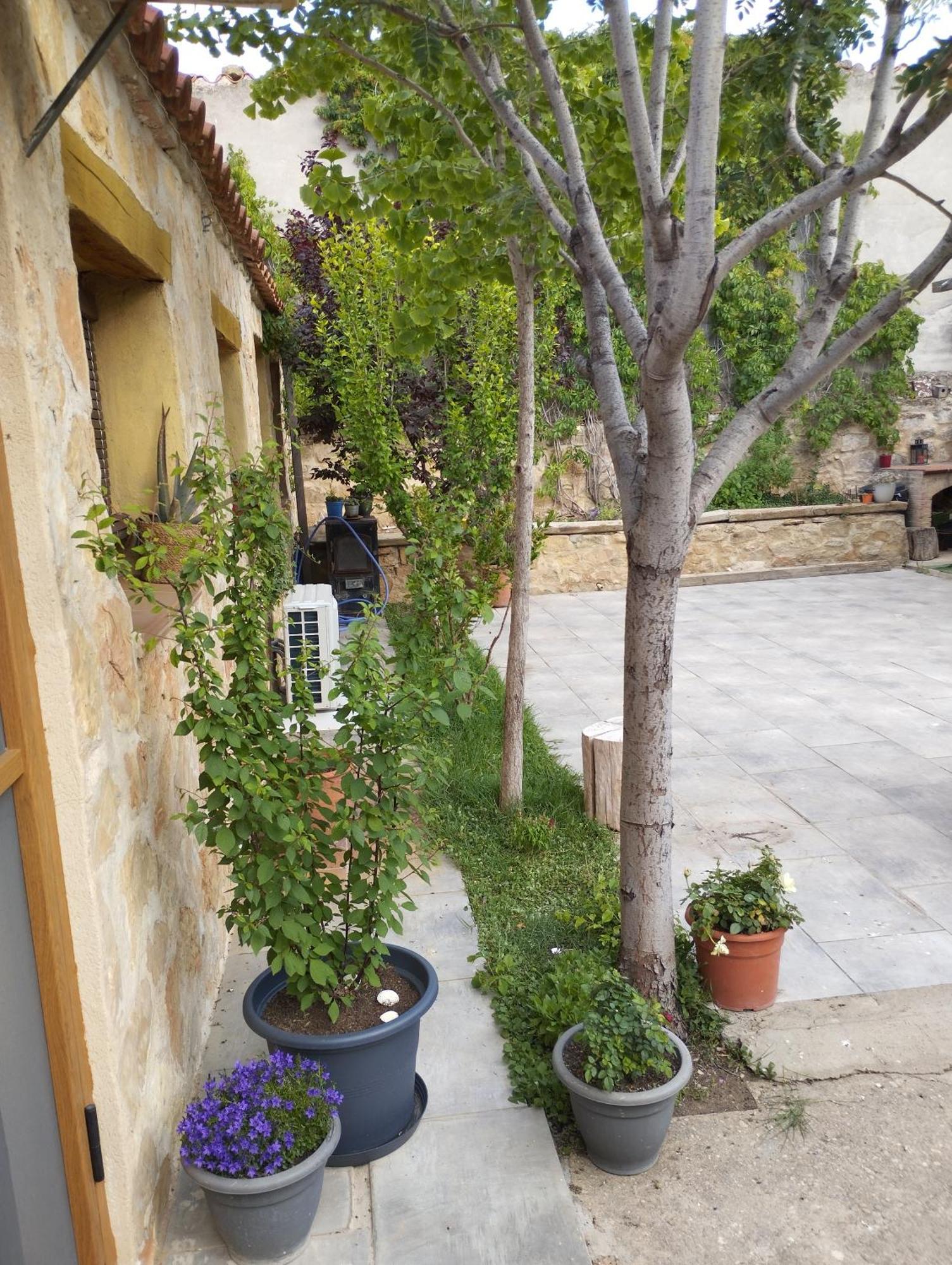 Casa Rural El Olivo Puigmoreno ภายนอก รูปภาพ